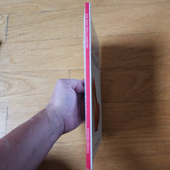 NWOT The High Heels Landlord Paperback By Cynthia Deluca - Picture 9 of 11